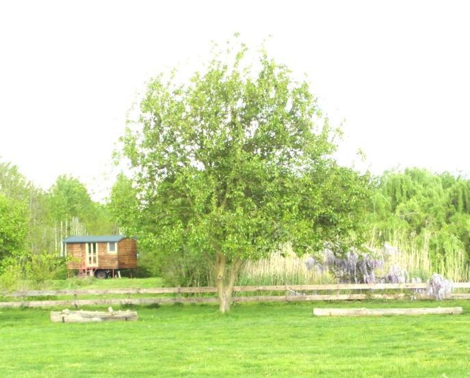Casetta Sul Lago Albairate Екстер'єр фото